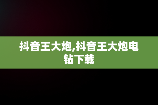 抖音王大炮,抖音王大炮电钻下载