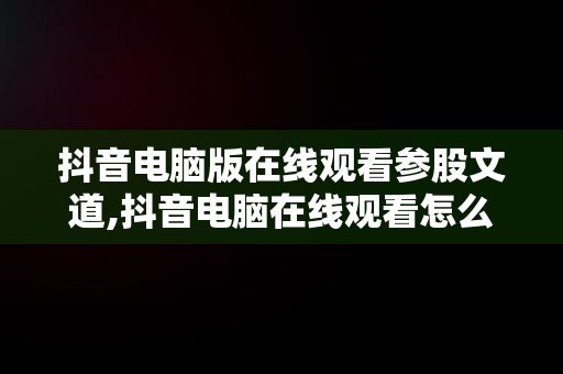 抖音电脑版在线观看参股文道,抖音电脑在线观看怎么进直播间