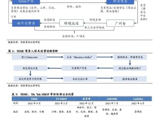 亚马逊跨境电商平台的商业模式(亚马逊跨境电商平台的商业模式有哪些)