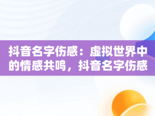 抖音名字伤感：虚拟世界中的情感共鸣，抖音名字伤感男 