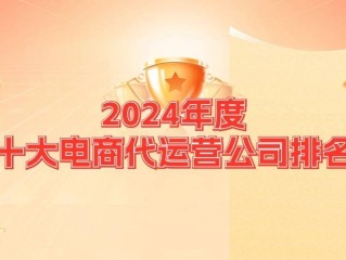 十大电商代运营公司(做电商一个月能挣多少钱)