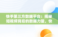 快手第三方数据平台：揭秘短视频背后的数据力量，快手第三方数据平台有哪些 