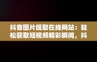 抖音图片提取在线网站：轻松获取短视频精彩瞬间，抖音图片提取在线网站是什么 