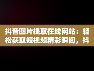 抖音图片提取在线网站：轻松获取短视频精彩瞬间，抖音图片提取在线网站是什么 