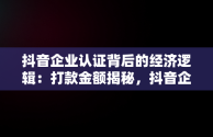 抖音企业认证背后的经济逻辑：打款金额揭秘，抖音企业认证打款金额怎么填 