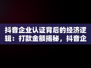 抖音企业认证背后的经济逻辑：打款金额揭秘，抖音企业认证打款金额怎么填 