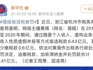 网络主播偷逃税款(网络主播偷逃税款看法)