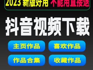 电脑版的快手怎么在电脑上下载视频,快手电脑版在线观看视频下载