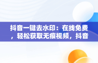 抖音一键去水印：在线免费，轻松获取无痕视频，抖音一键去水印免费版下载 