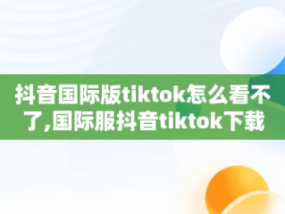 抖音国际版tiktok怎么看不了,国际服抖音tiktok下载为什么看不了