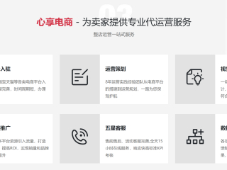 拼多多跨境电商代运营,拼多多网店代运营怎么样