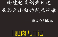 跨境电商工作周记大全,跨境电商店铺运营周记40篇