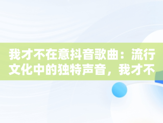 我才不在意抖音歌曲：流行文化中的独特声音，我才不在意抖音歌曲是谁唱的 