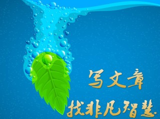 文章润色费用怎么报销,润色一篇文章多少钱