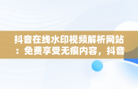 抖音在线水印视频解析网站：免费享受无痕内容，抖音视频水印解析网址免费 