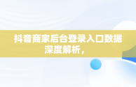 抖音商家后台登录入口数据深度解析， 