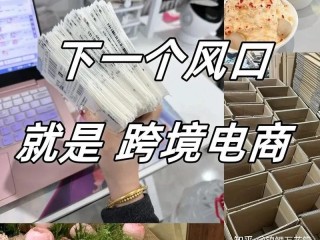 亚马逊跨境电商真的挣钱吗(亚马逊跨境电商好做吗?到底能不能赚钱)