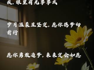 2024年文案最火的句子(2024年文案最火的句子高级感)