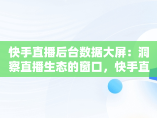 快手直播后台数据大屏：洞察直播生态的窗口，快手直播窗口变大 