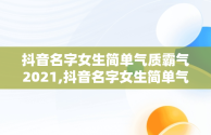 抖音名字女生简单气质霸气2021,抖音名字女生简单气质 霸气2020