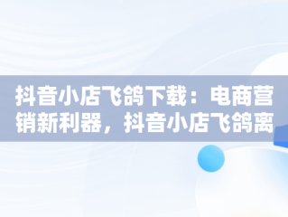 抖音小店飞鸽下载：电商营销新利器，抖音小店飞鸽离线后算考核吗 