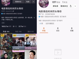 抖音短视频在线使用(抖音短视频在线使用怎么设置)