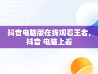 抖音电脑版在线观看王者,抖音 电脑上看