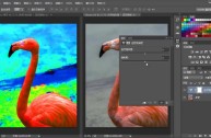 adobephotoshop官方下载,adobe photo shop下载