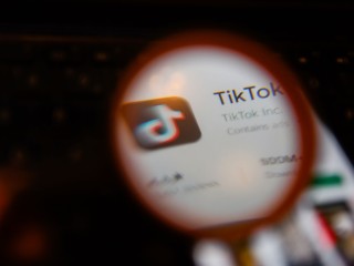 抖音国际版tiktok色板软件的特点,抖音国际版tiktok色板