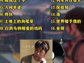 好听的歌曲2025年最火,音乐歌曲大全100首2024最火歌曲