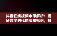 抖音在线视频水印解析：揭秘数字时代的版权标识，抖音视屏在线水印解析 