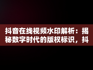 抖音在线视频水印解析：揭秘数字时代的版权标识，抖音视屏在线水印解析 