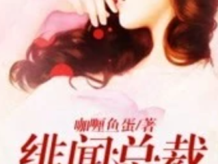 天王主播小说,天王直播间小说