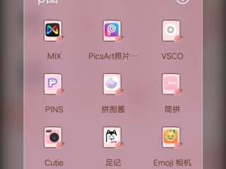 网红照片软件(网红质感的照片用的app)