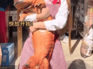 网红提子吃大白鲨,网红提子吃大白鲨原视频