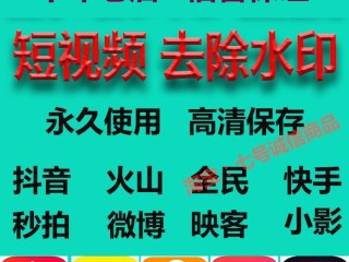 短视频去水印网站(短视频去水印的app)