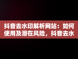 抖音去水印解析网站：如何使用及潜在风险，抖音去水印解析网站有哪些 