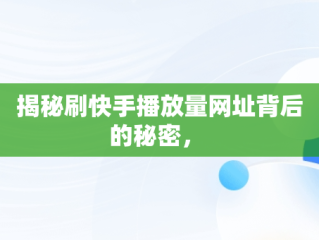 揭秘刷快手播放量网址背后的秘密， 