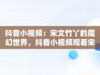 抖音小视频：宋文竹丫的魔幻世界，抖音小视频观看宋文竹丫丫的视频 