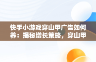 快手小游戏穿山甲广告如何养：揭秘增长策略，穿山甲广告卡包 