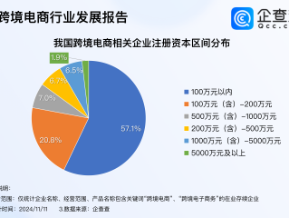 跨境电商代运营商有哪些(跨境电商代运营商有哪些公司)