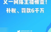 郑州一网红主播被追征662万税款(郑州一网红主播被追征662万税款 收入有多少)