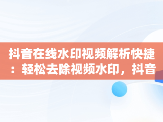 抖音在线水印视频解析快捷：轻松去除视频水印，抖音在线视频水印解析工具 