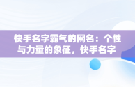 快手名字霸气的网名：个性与力量的象征，快手名字 霸气 