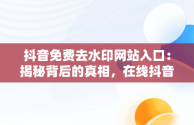 抖音免费去水印网站入口：揭秘背后的真相，在线抖音免费一键去水印网站 