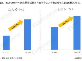 短视频平台用户数量分析,短视频平台用户数量