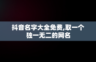 抖音名字大全免费,取一个独一无二的网名