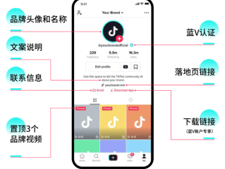 海外抖音TIKTOK下载教程,国外抖音tiktok下载安装教程