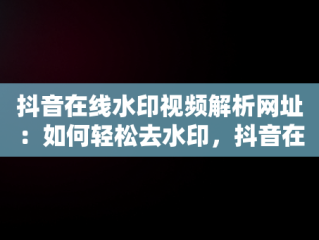 抖音在线水印视频解析网址：如何轻松去水印，抖音在线水印视频解析网址是多少 