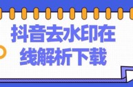 短视频去水印解析网站(复制链接提取视频的软件)